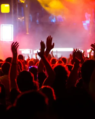 Adrianna Fine - Stevie Nicks White Winged Dove Tribute