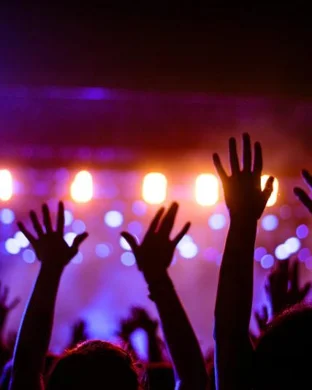 White Wing Dove - Stevie Nicks Tribute