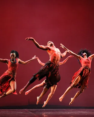 Burn the Floor: Maks & Peta Live theatre performance